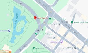 Google Maps