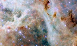 telescopio hubble capta majestuosidad polvo cosmico lmc tarantulanebula potw2506a jpg 75 head