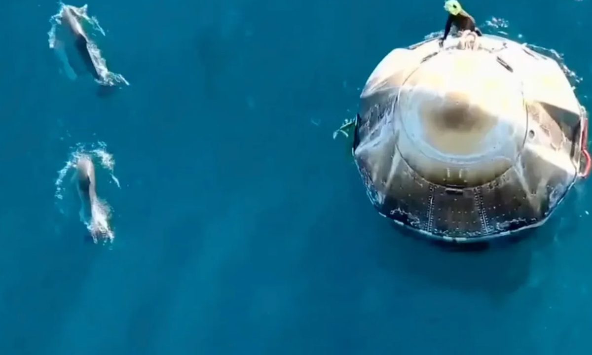 Delfines reciben a los astronautas