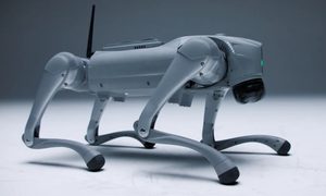 Perro robot