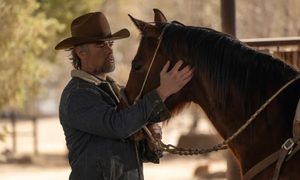 ransom canyon trailer