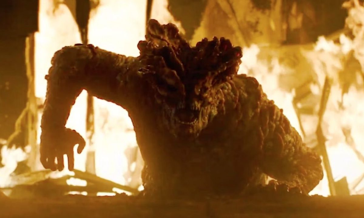 The Last of Us Cordyceps