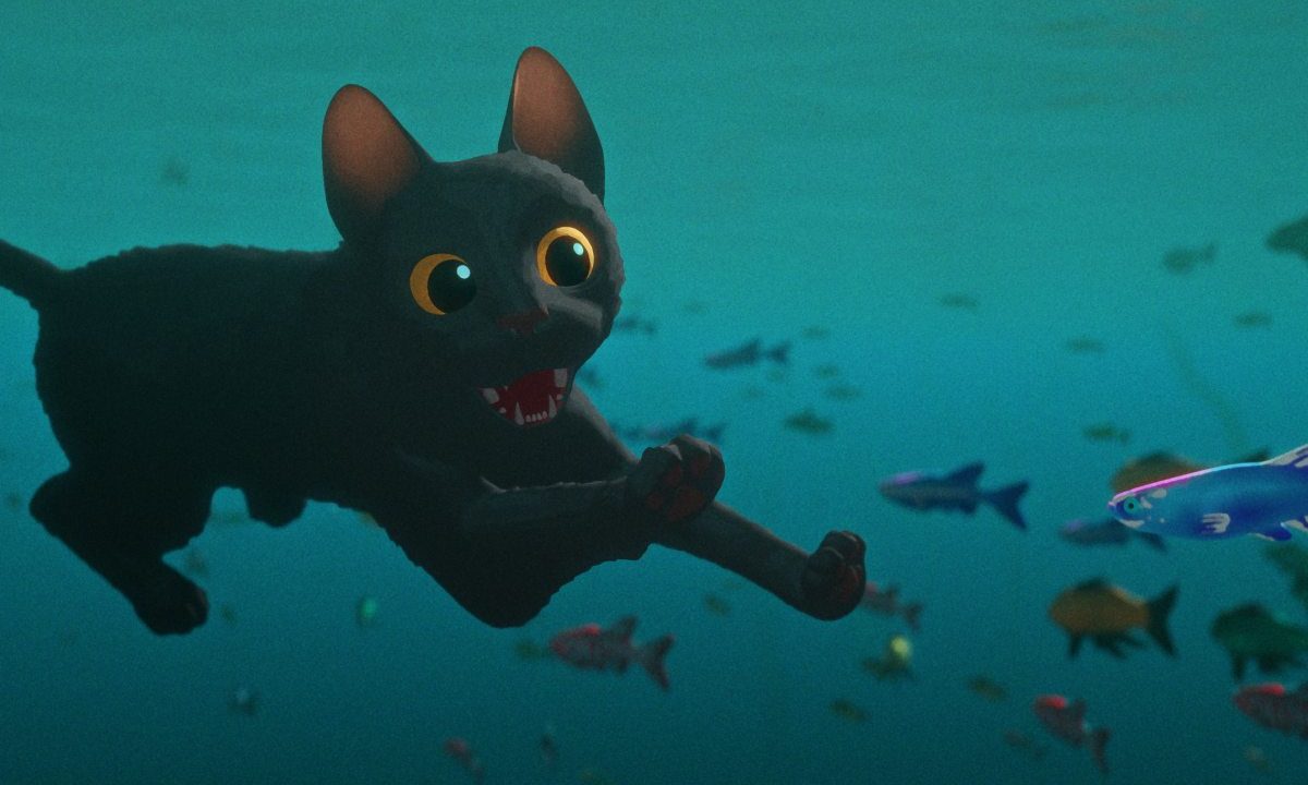 filmelier streaming llega latinoamerica frame flow