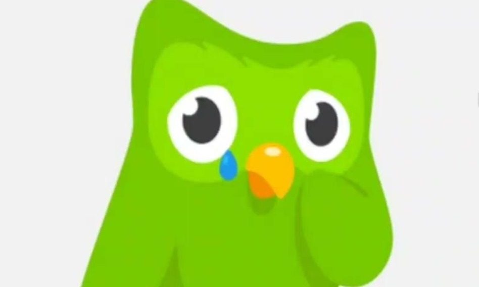 Logo de Duolingo llorando