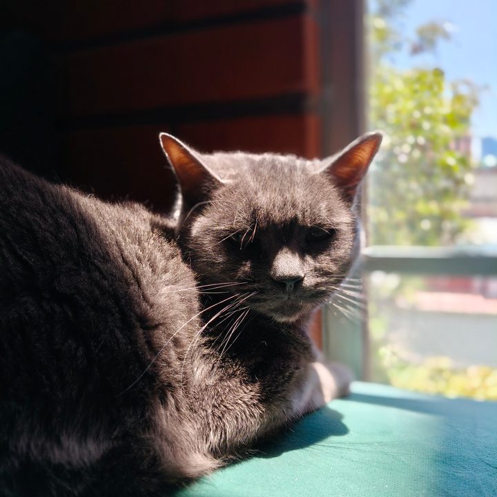 Un retrato hecho con el realme 14 Pro.