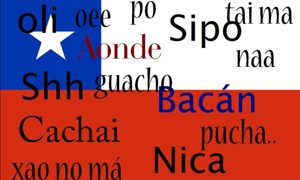 Bandera chilena con palabras y modismos chilenos