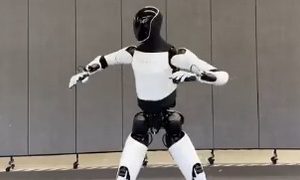 Robot Humanoide