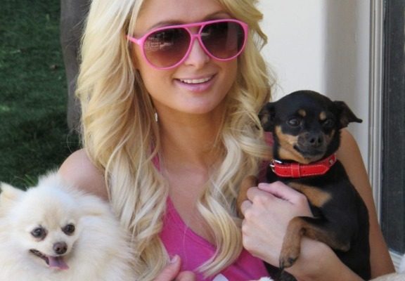 Paris Hilton con perros en brazo