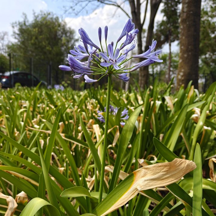 Una foto tomada con el realme GT 7 Pro.