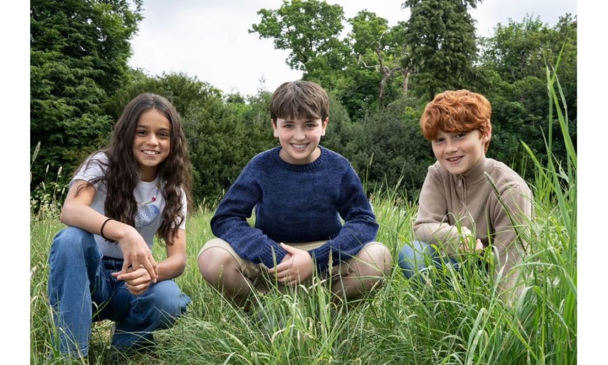 la serie de harry potter ya tiene a los nuevos hermione granger y ron weasley hero image 2