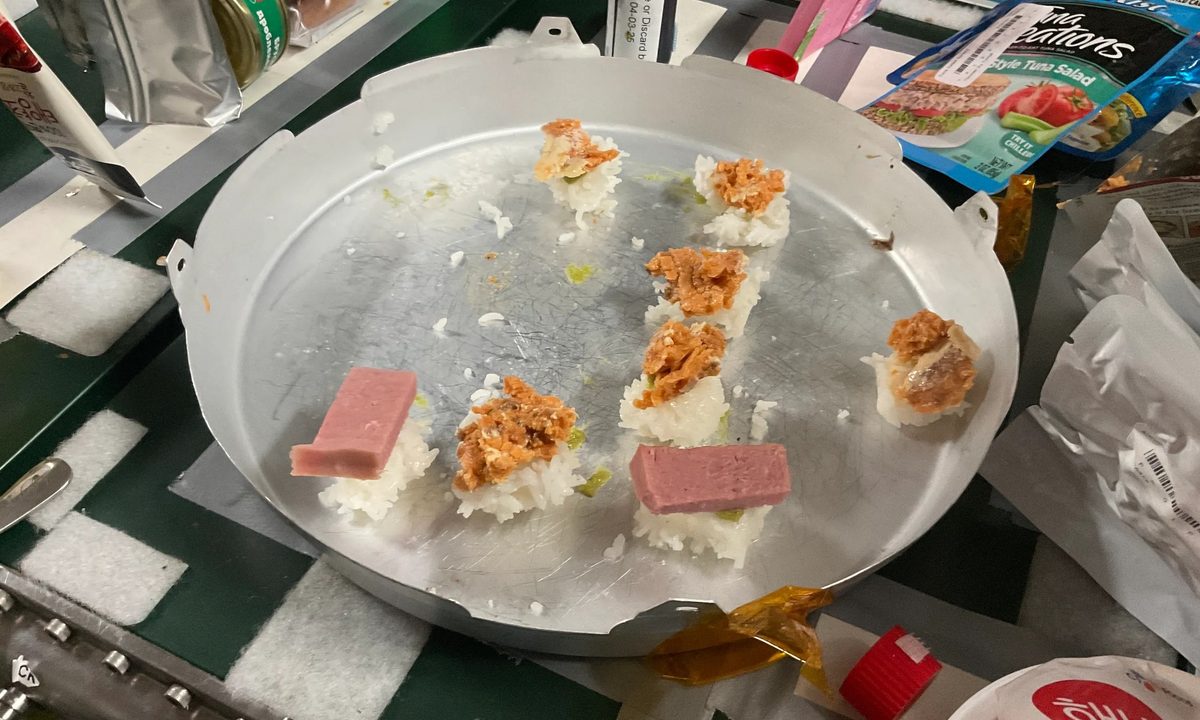 Sushi en el espacio