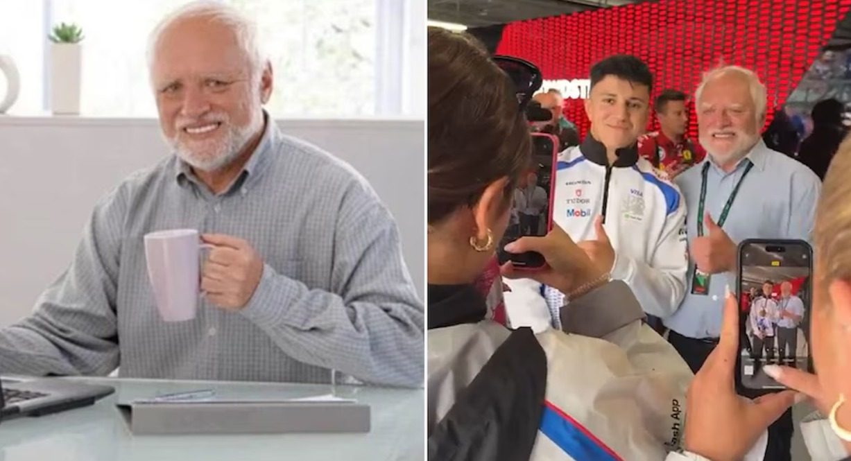 Hide the Pain Harold