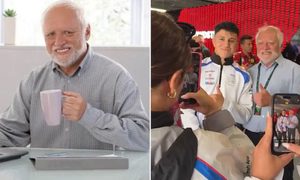 Hide the Pain Harold