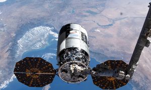 Cygnus