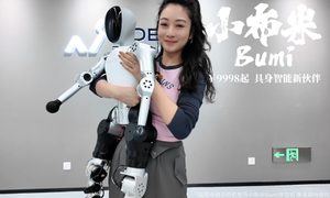Robot Bumi
