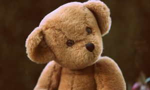 Oso de Peluche