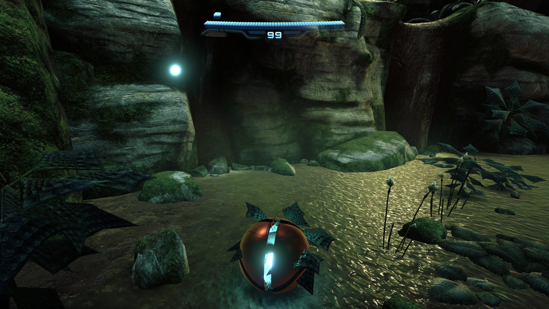 Plant, Vegetation, Nature