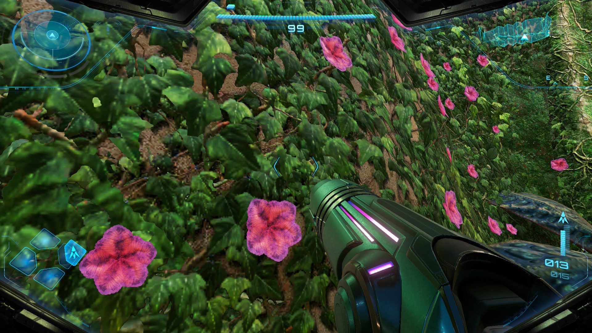 Flower, Geranium, Plant