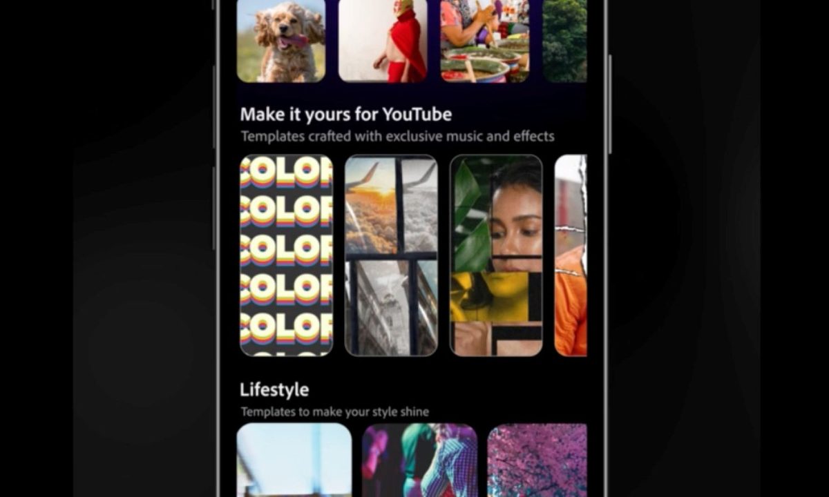 Art, Collage, Animal