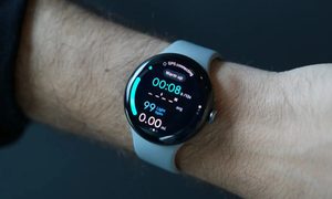 Electronics, Screen, Computer Hardware