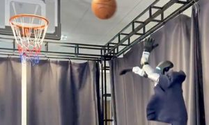 Basketball, Person, Playing Basketball