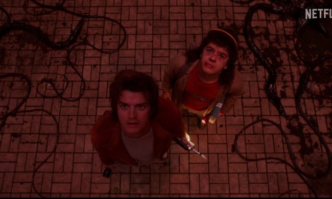 Adult, Female, Person