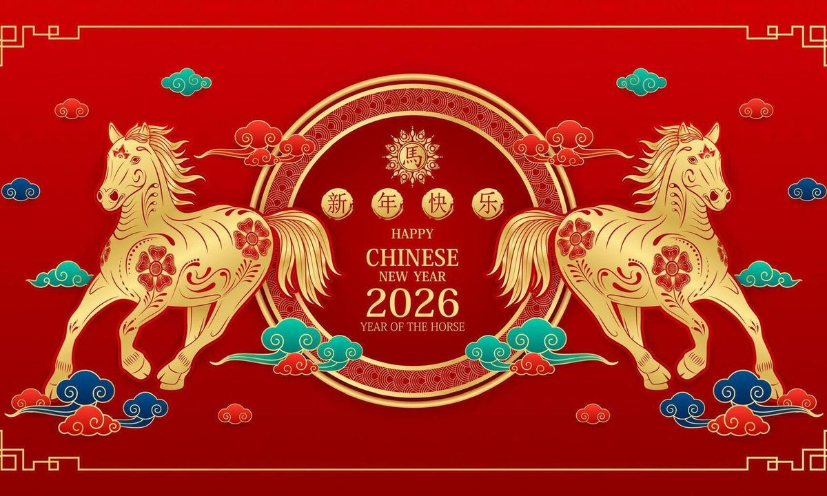 Animal, Horse, Mammal