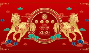 Animal, Horse, Mammal