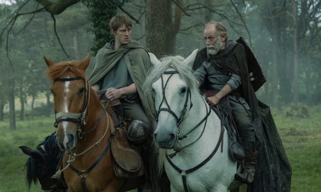 Animal, Horse, Horseback Riding