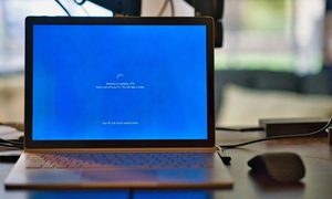 Computer, Electronics, Laptop