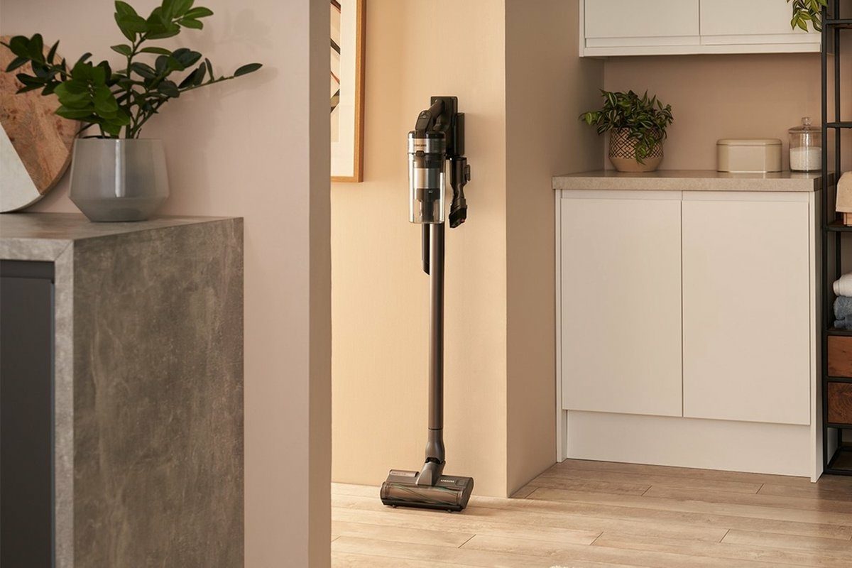 Indoors, Interior Design, Plant