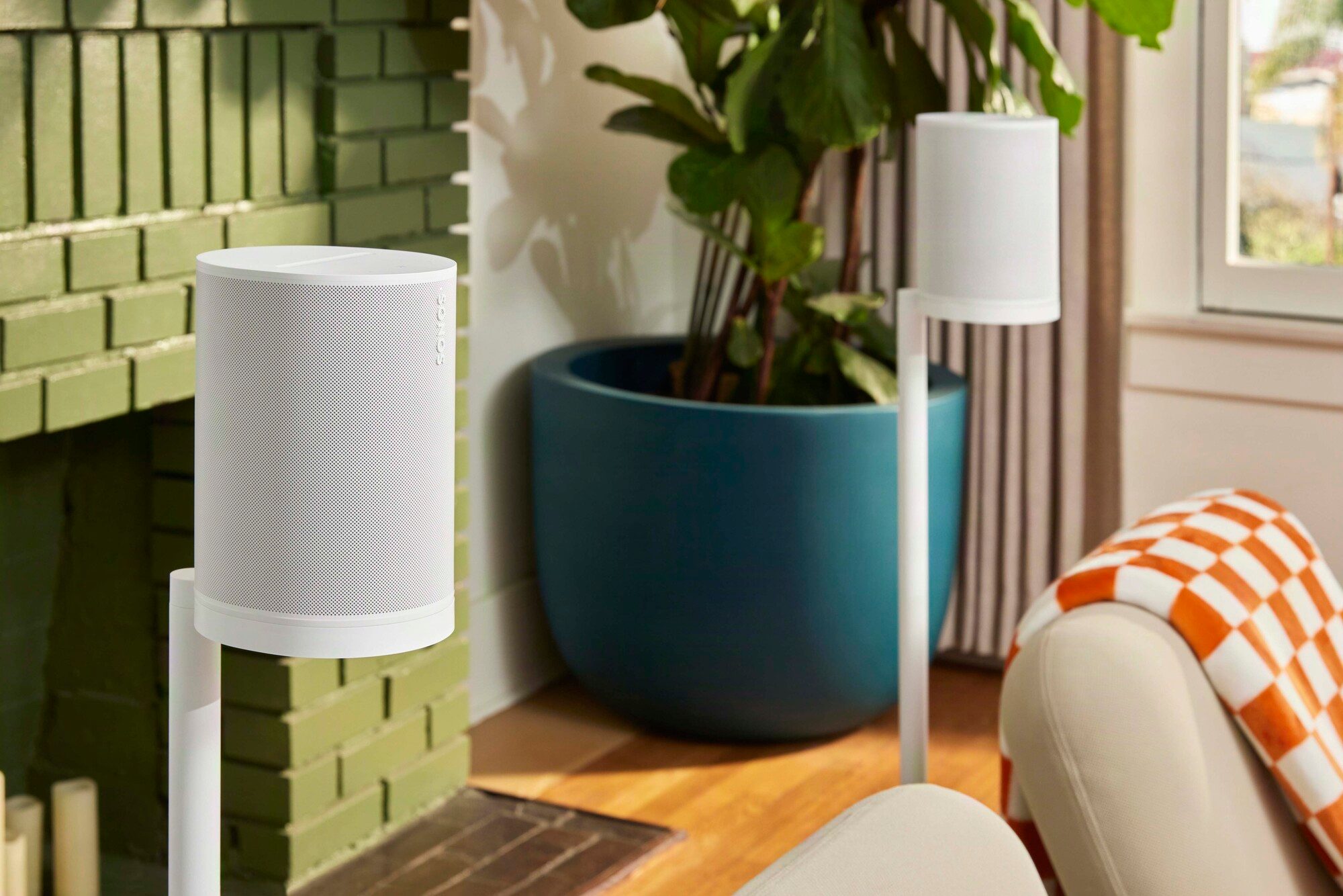 Lamp, Plant, Electronics