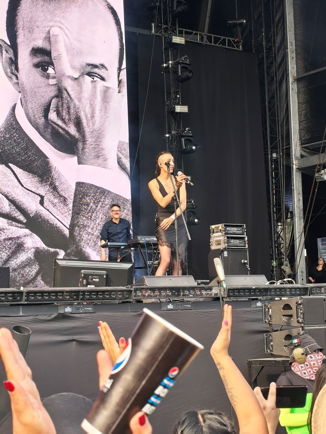 Concert, Crowd, Person