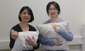Cushion, Home Decor, Adult