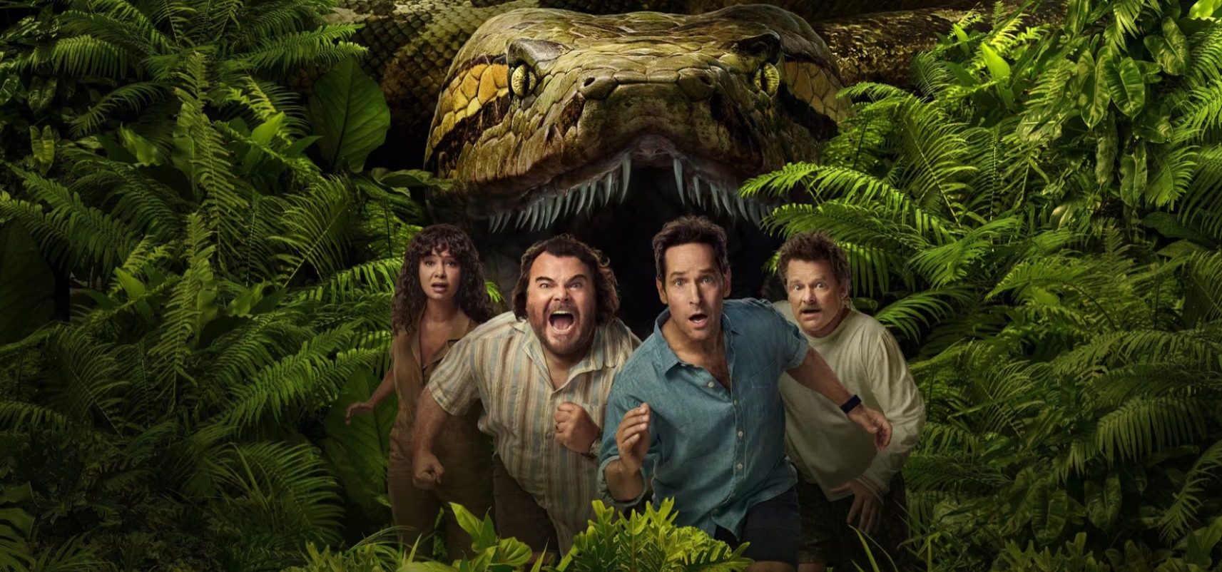 Jungle, Nature, Outdoors