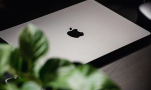 Computer, Electronics, Laptop