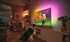 Indoors, Interior Design, Computer Hardware