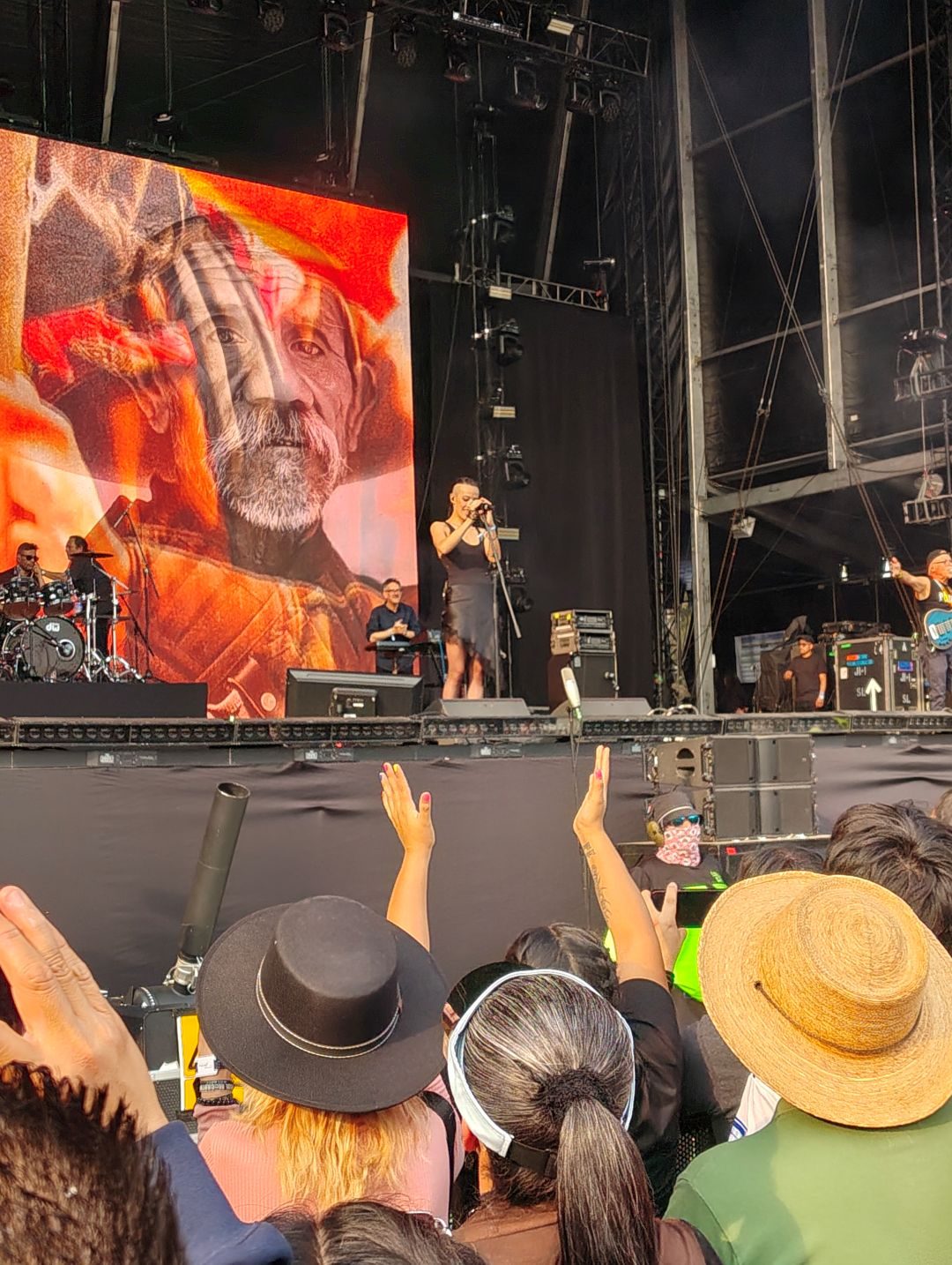 Concert, Crowd, Person