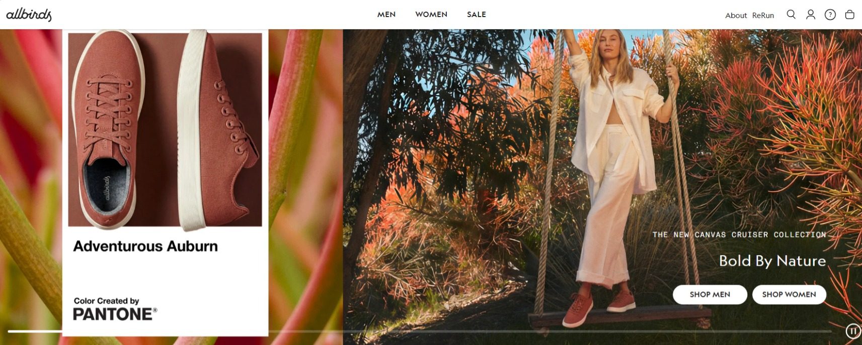 Clothing, Footwear, Shoe