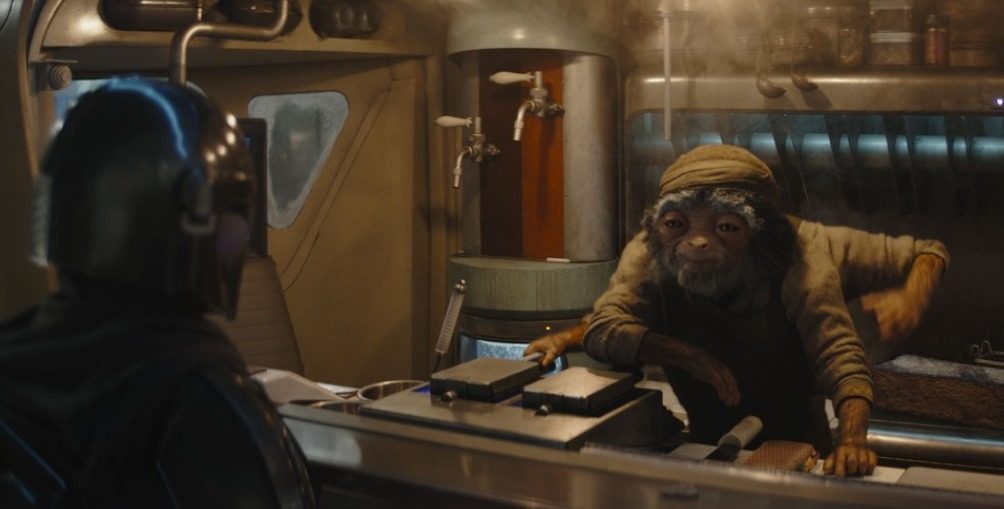 Animal, Mammal, Monkey