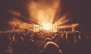 Concert, Crowd, Person