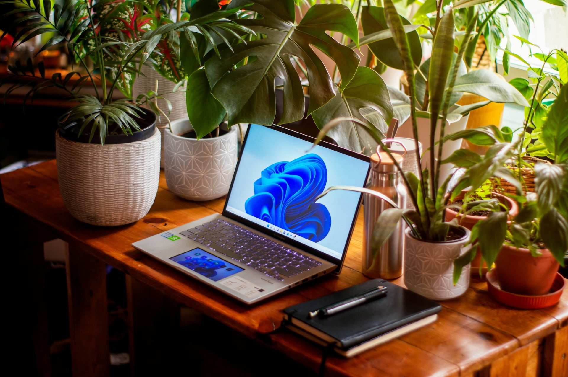Computer, Electronics, Laptop