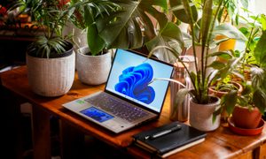 Computer, Electronics, Laptop