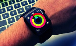 Wristwatch, Arm, Body Part