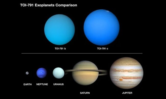 Planetas algodón