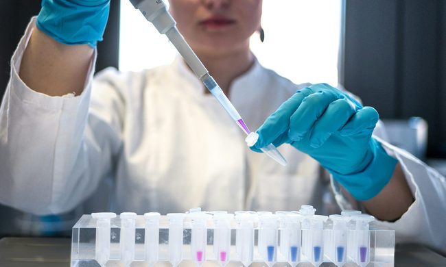 Clothing, Glove, Laboratory