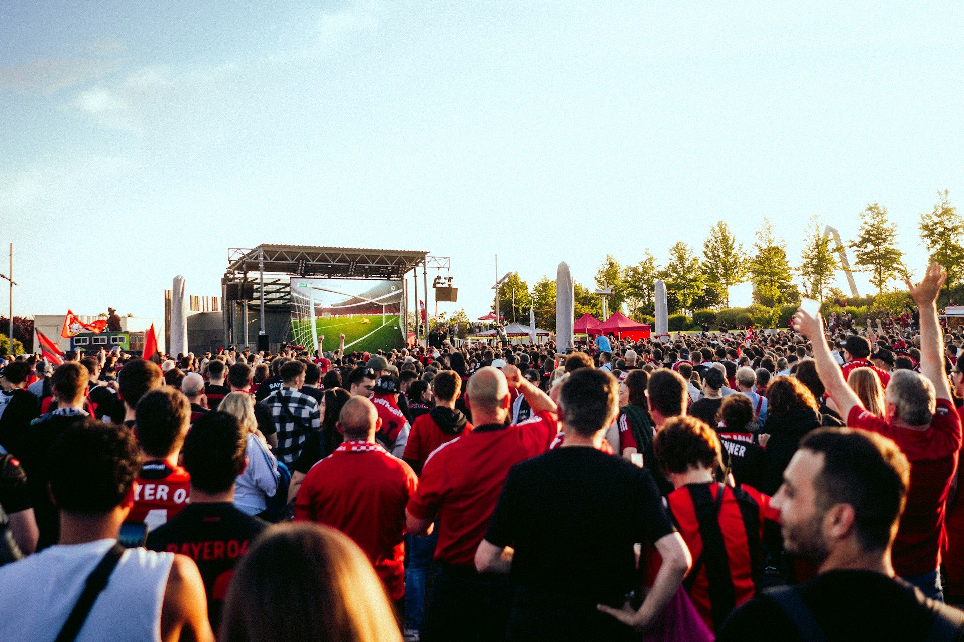 Concert, Crowd, Person