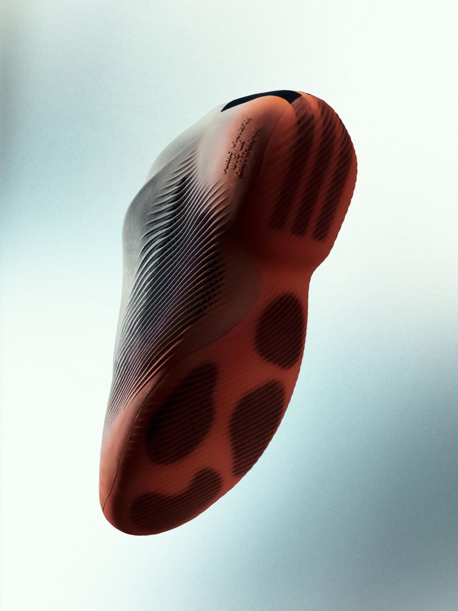 Clothing, Footwear, Shoe