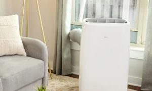 Cushion, Home Decor, Pillow