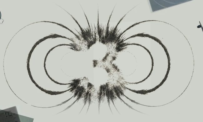 Art, Drawing, Plant